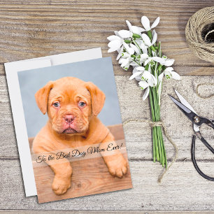 Die beste Mama für den Hund je Muttertag mit indiv