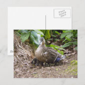 Die beste Mutter der Welt Postkarte (Vorne/Hinten)