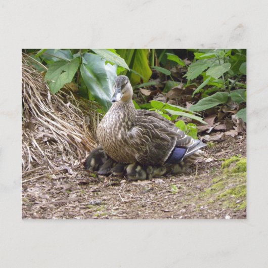 Die beste Mutter der Welt Postkarte (Vorderseite)