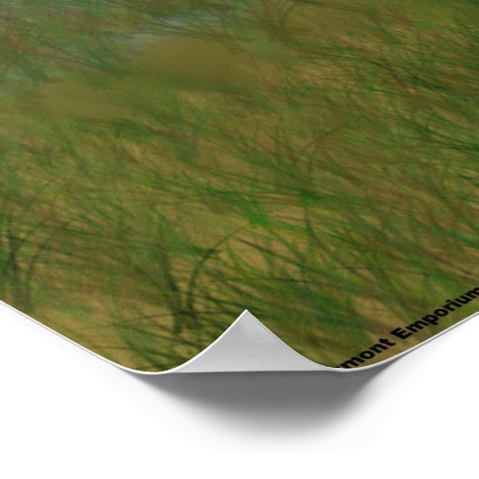 Die beste Rache zu leben Poster (Ecke)