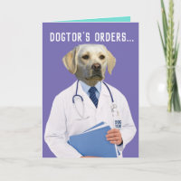 Die Bestellungen von Funny Gelbe Labrador heilen u