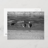 Die besten Dinge im Leben sind kostenlos Postkarte (Vorne/Hinten)