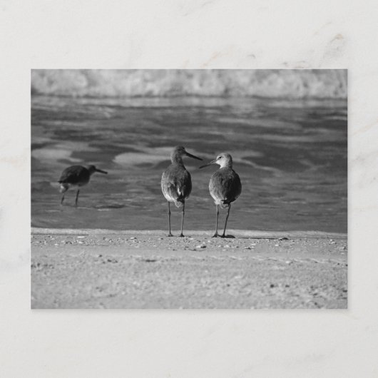 Die besten Dinge im Leben sind kostenlos Postkarte (Vorderseite)