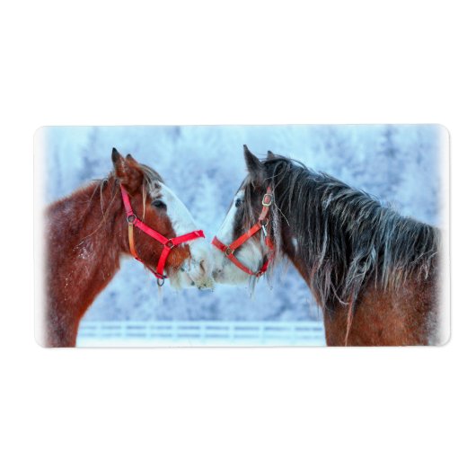 Die besten Freunde (Vorne)