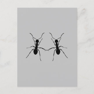Die besten Freunde. Ant Couple Postkarte