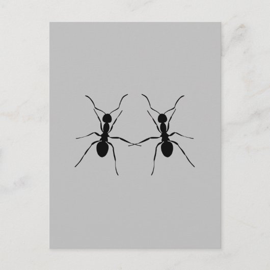 Die besten Freunde. Ant Couple Postkarte (Vorderseite)
