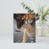 Die besten Freunde - Cat & German Shepherds Post C Postkarte (Stehend Vorderseite)