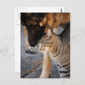 Die besten Freunde - Cat & German Shepherds Post C Postkarte (Vorne/Hinten)
