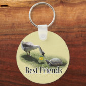 Die besten Freunde - Die Schildkröte und die Gänse Schlüsselanhänger (Vorderseite)