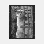 Die besten Freunde Fleecedecke (Vorderseite)