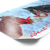 Die besten Freunde Fotodruck (Ecke)