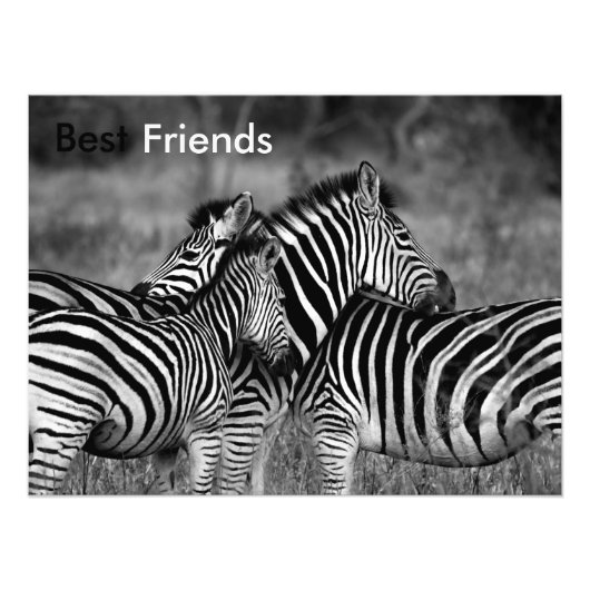 Die besten Freunde Fotodruck (Vorne)