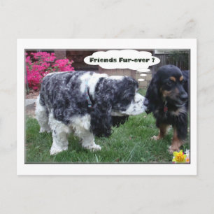 Die besten Freunde für alle Zeiten Postkarte