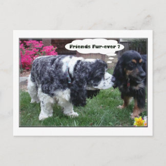 Die besten Freunde für alle Zeiten Postkarte