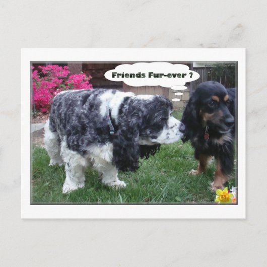 Die besten Freunde für alle Zeiten Postkarte (Vorderseite)