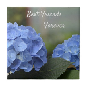 Die besten Freunde für die Hydrangeas Fliese