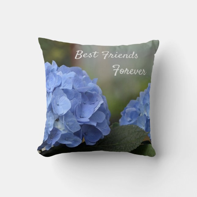 Die besten Freunde für die Hydrangeas Kissen (Vorderseite)