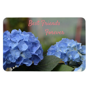 Die besten Freunde für die Hydrangeas Magnet