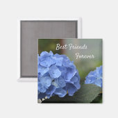 Die besten Freunde für die Hydrangeas Magnet (Vorderseite/Rückseite)