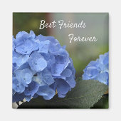 Die besten Freunde für die Hydrangeas Magnet (Vorne)