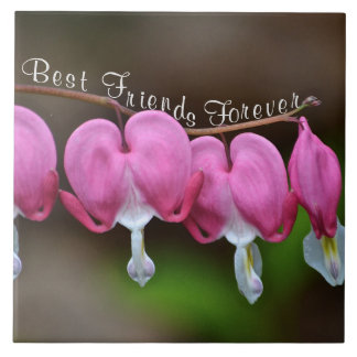 Die besten Freunde für immer Fliese