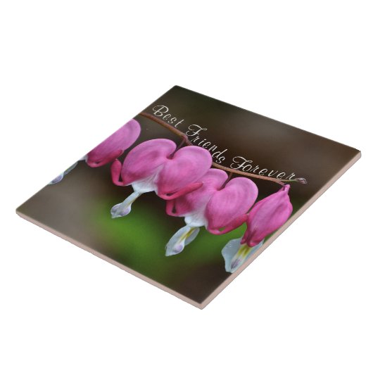 Die besten Freunde für immer Fliese (Seite)