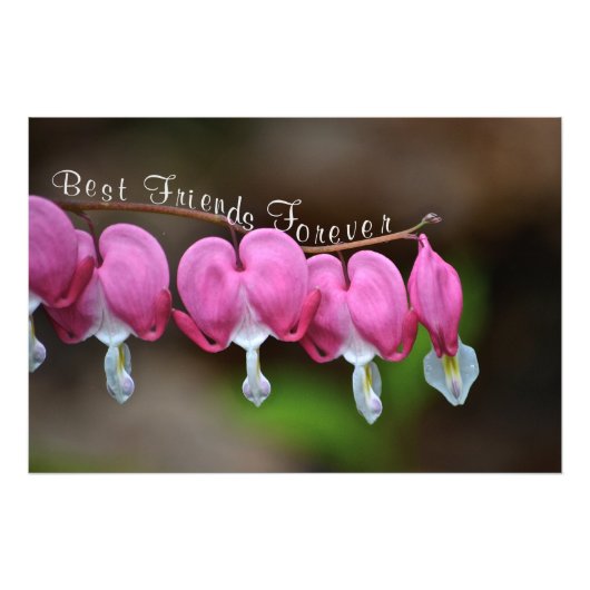 Die besten Freunde für immer Fotodruck (Vorne)