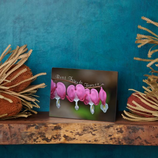 Die besten Freunde für immer Fotoplatte (Seite)