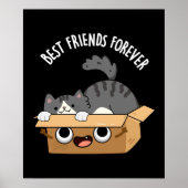 Die besten Freunde für immer Funny Cat and Box Pun Poster (Vorne)