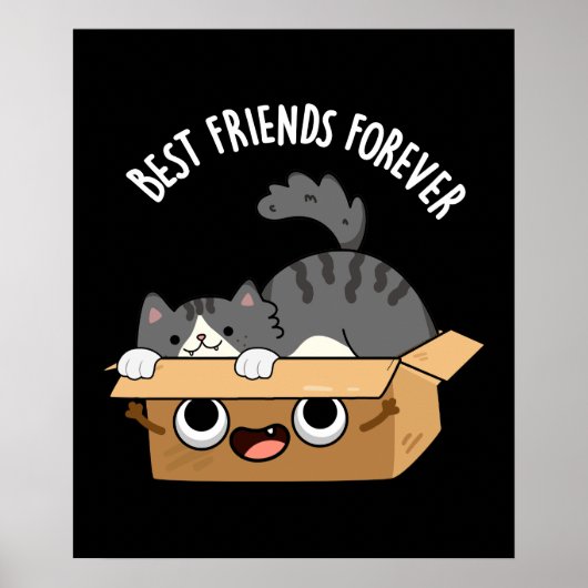 Die besten Freunde für immer Funny Cat and Box Pun Poster (Vorne)