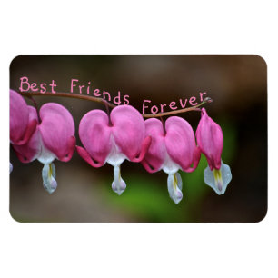 Die besten Freunde für immer Magnet