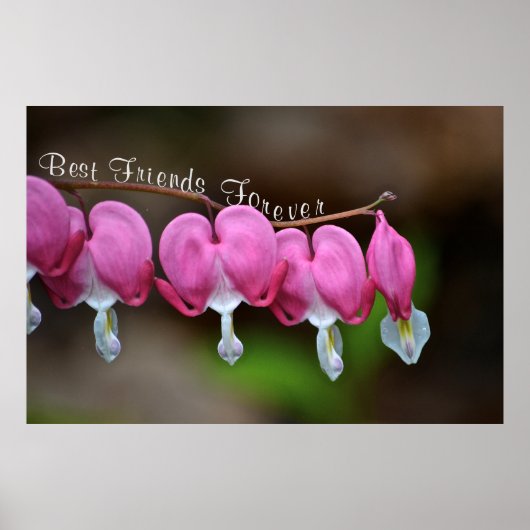 Die besten Freunde für immer Poster (Vorne)