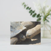 Die besten Freunde für immer Postkarte (Stehend Vorderseite)