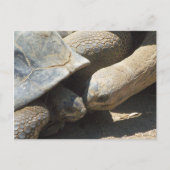 Die besten Freunde für immer Postkarte (Vorderseite)