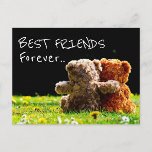 Die besten Freunde für immer Postkarte