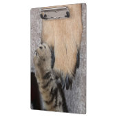 Die besten Freunde für immer von Shirley Taylor Klemmbrett (Links)