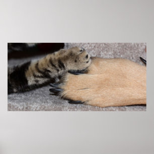 Die besten Freunde für immer von Shirley Taylor Poster