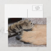 Die besten Freunde für immer von Shirley Taylor Postkarte (Vorne/Hinten)