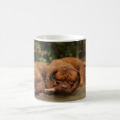 Die besten Freunde Kaffeetasse (Mittel)