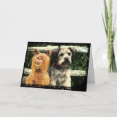 Die besten Freunde Karte (Vorderseite)