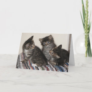 Die besten Freunde Karte