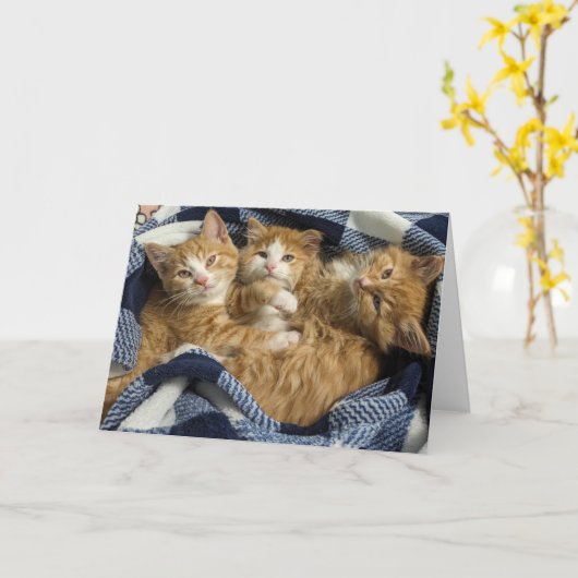 Die besten Freunde Karte (Gelbe Blume)