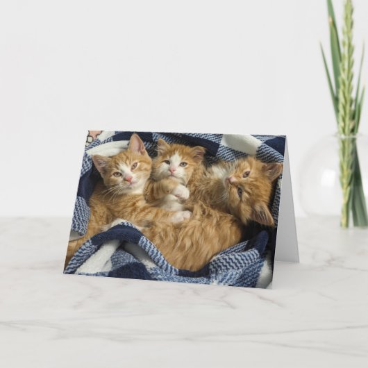 Die besten Freunde Karte (Vorderseite)