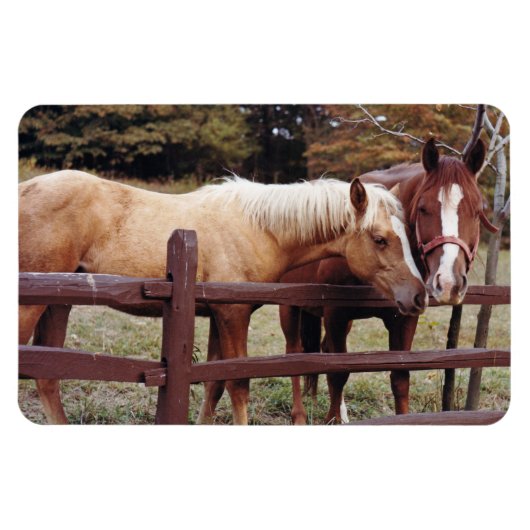 Die besten Freunde Magnet (Horizontal)