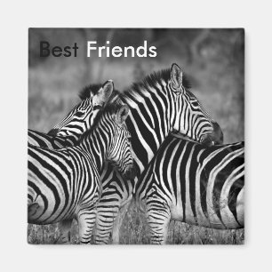 Die besten Freunde Magnet