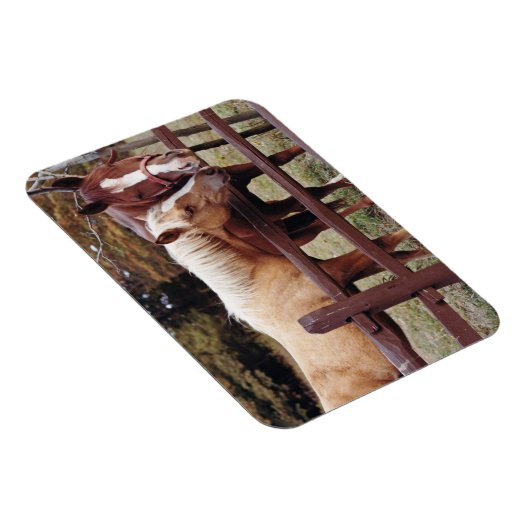 Die besten Freunde Magnet (Rechte Seite)