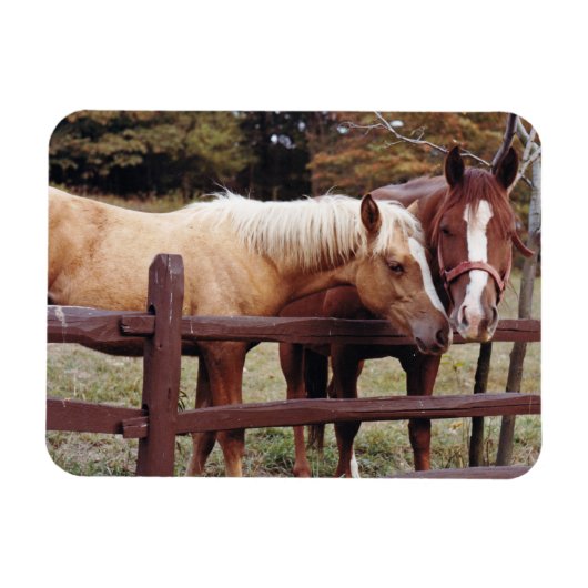 Die besten Freunde Magnet (Horizontal)