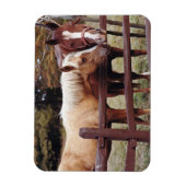 Die besten Freunde Magnet (Vertikal)