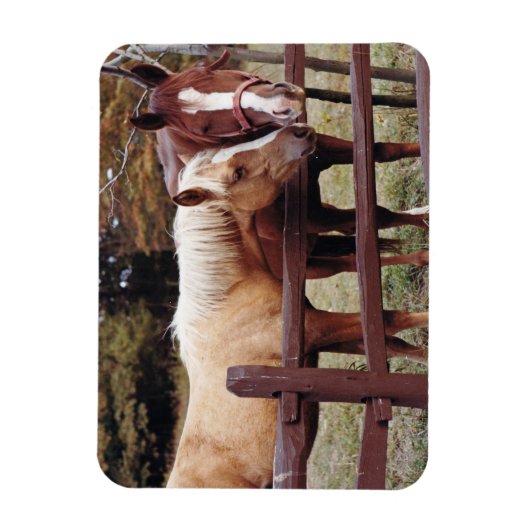 Die besten Freunde Magnet (Vertikal)