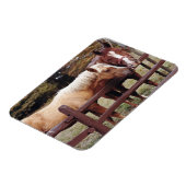 Die besten Freunde Magnet (Linke Seite)